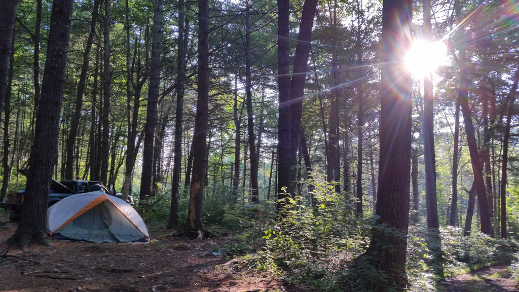 Best Overlanding Routes and Trails in Virnigia