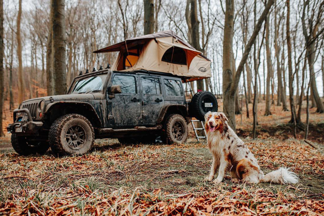 Roof top tent discount for soft top jeep